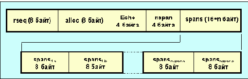  XTP