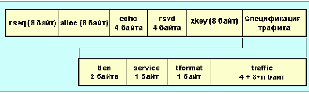  XTP