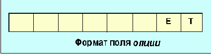  OSPF ( )