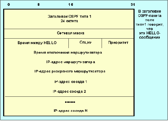  OSPF ( )