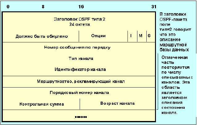  OSPF ( )
