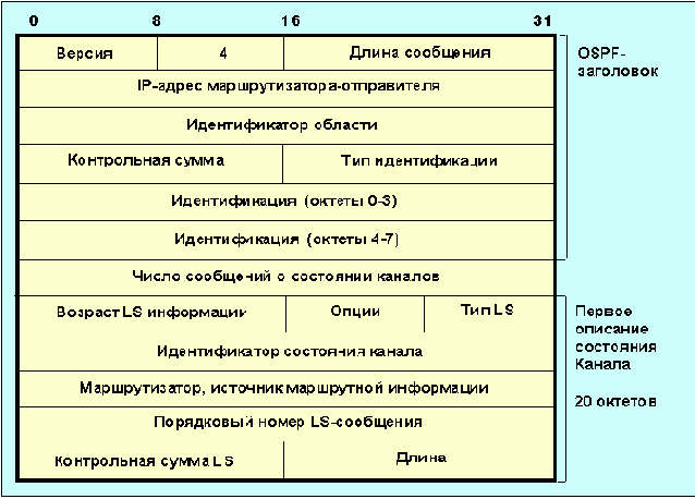  OSPF ( )