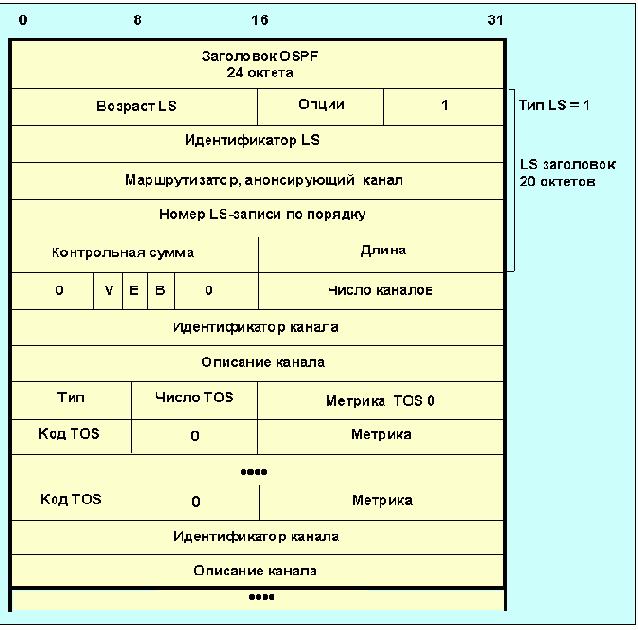  OSPF ( )