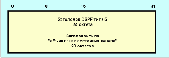  OSPF ( )
