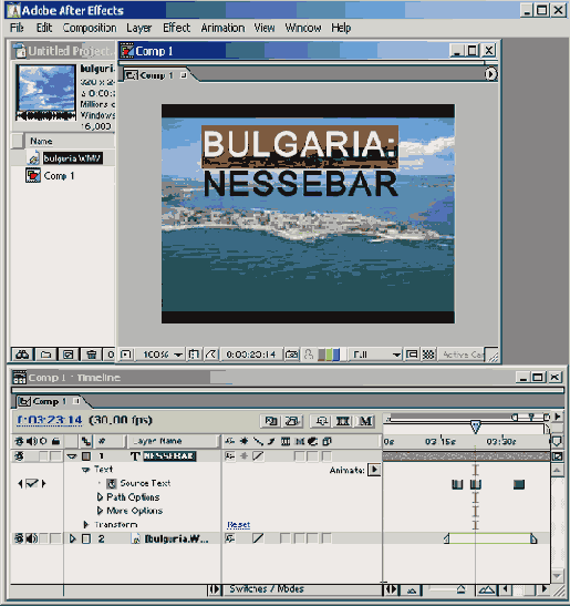   12.3.3.   Animator
