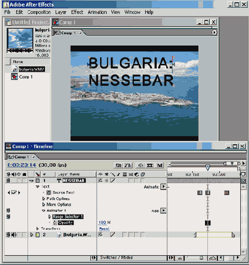   12.3.3.   Animator
