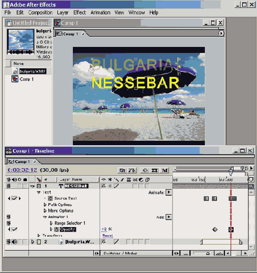   12.3.3.   Animator
